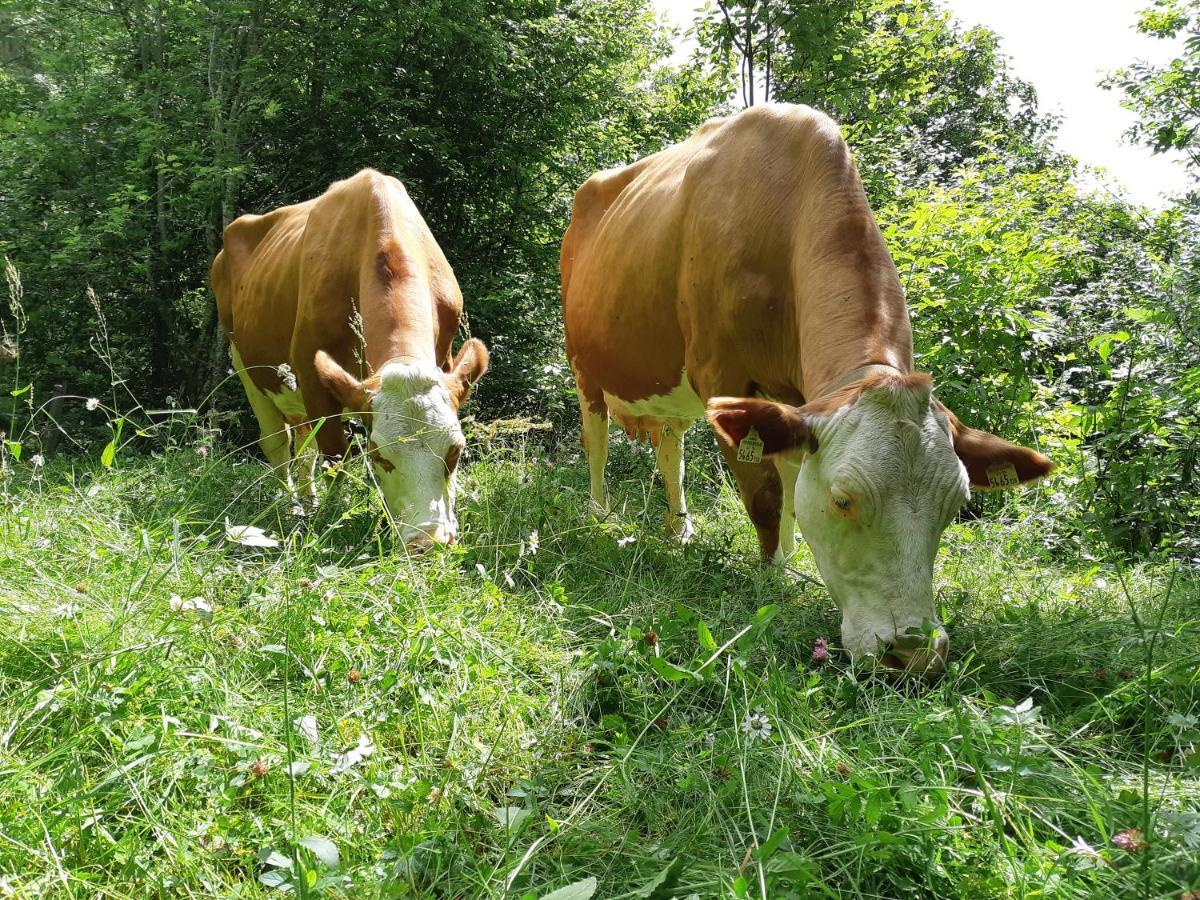 Hansenhof Pragraten Bagian luar foto